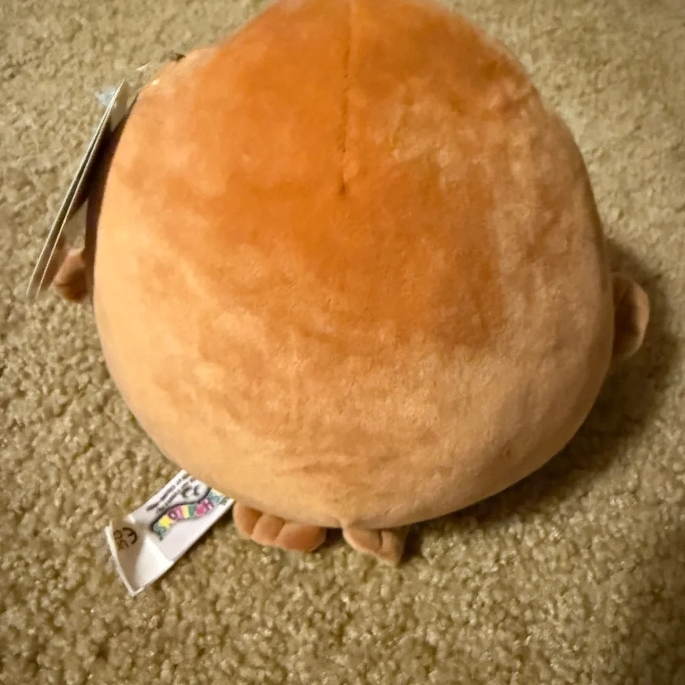 Bruce the Walrus Squishmallow 6.5”